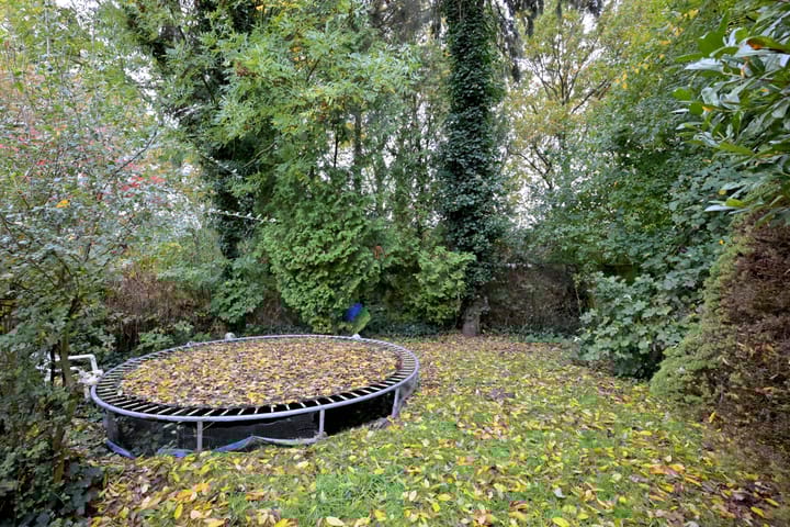 Photo 29 of Meerkoet 30