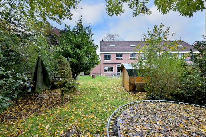 Photo 30 of Meerkoet 30