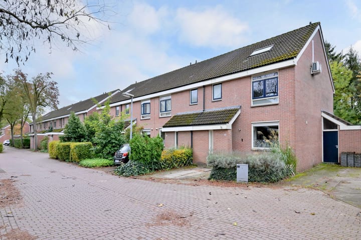 Photo 31 of Meerkoet 30