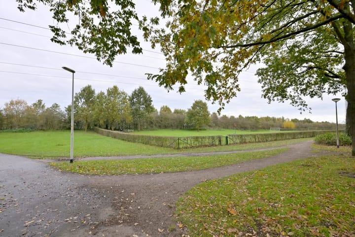 Photo 32 of Meerkoet 30