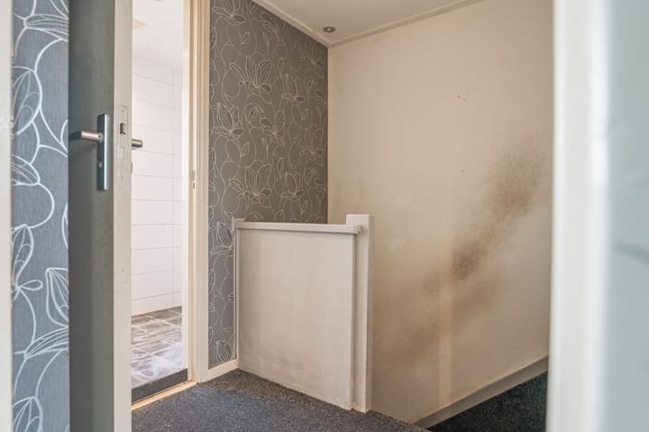 Photo 20 of Willem Lodewijkstraat 17