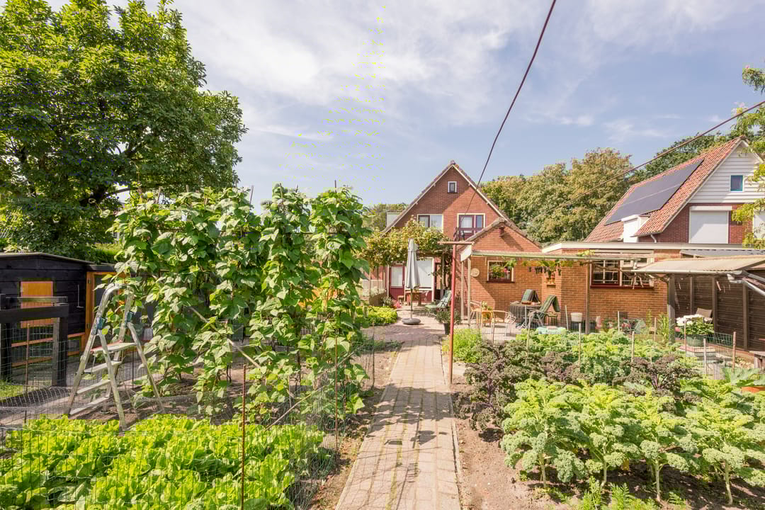 Photo 31 of Berkenlaan 16