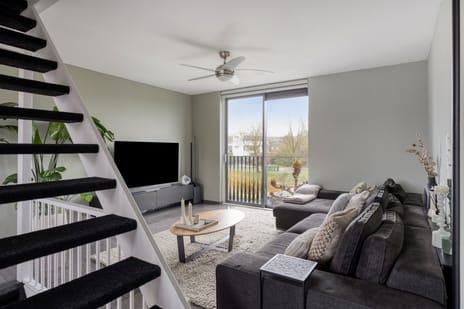 Zwarte Specht 66 tertiary image