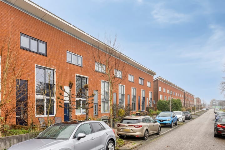 Foto 5 van Zwarte Specht 66