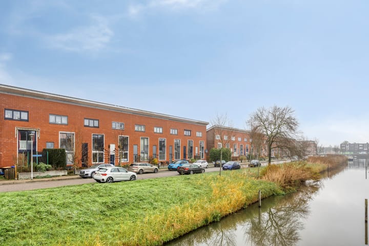 Foto 6 van Zwarte Specht 66