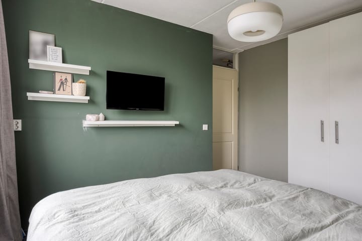 Foto 10 van Zwarte Specht 66