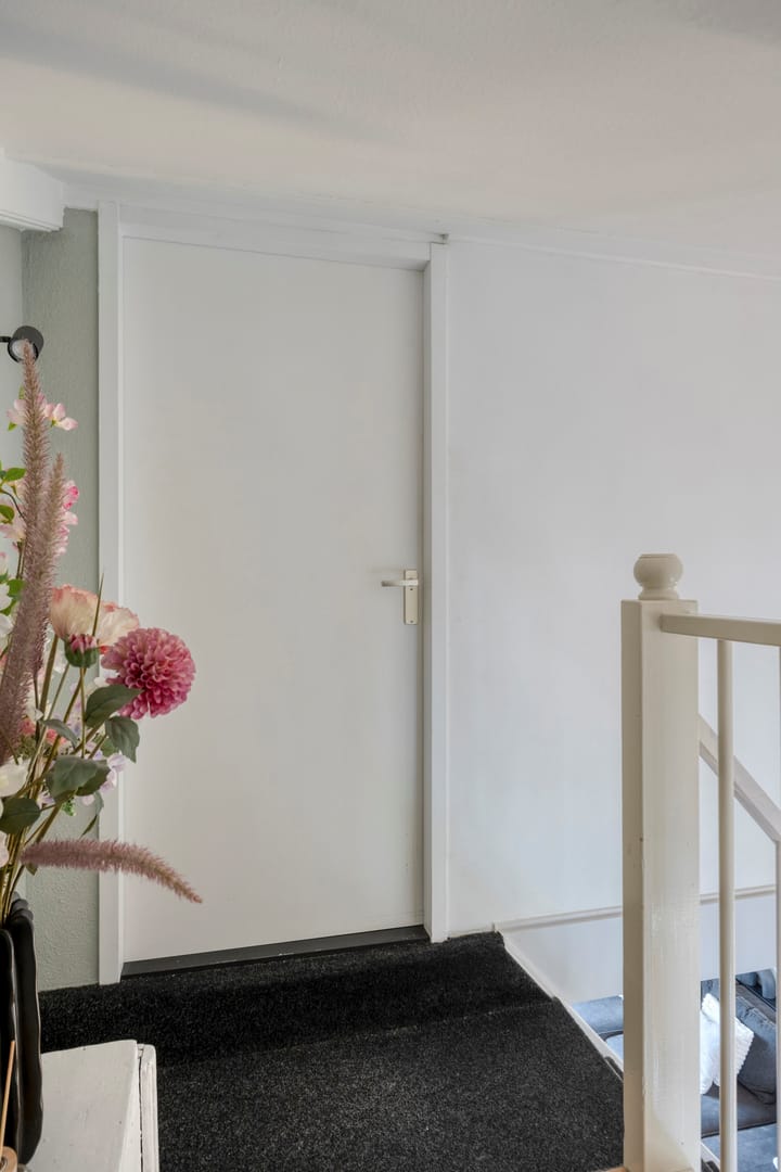 Foto 23 van Zwarte Specht 66