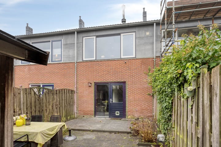 Foto 29 van Zwarte Specht 66