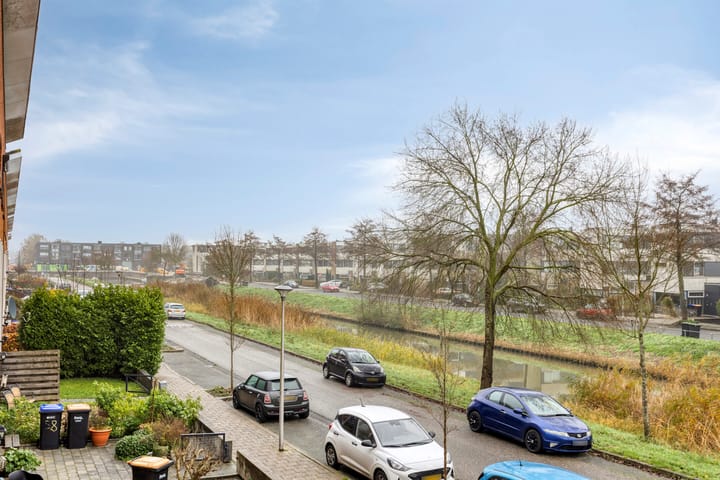 Foto 31 van Zwarte Specht 66