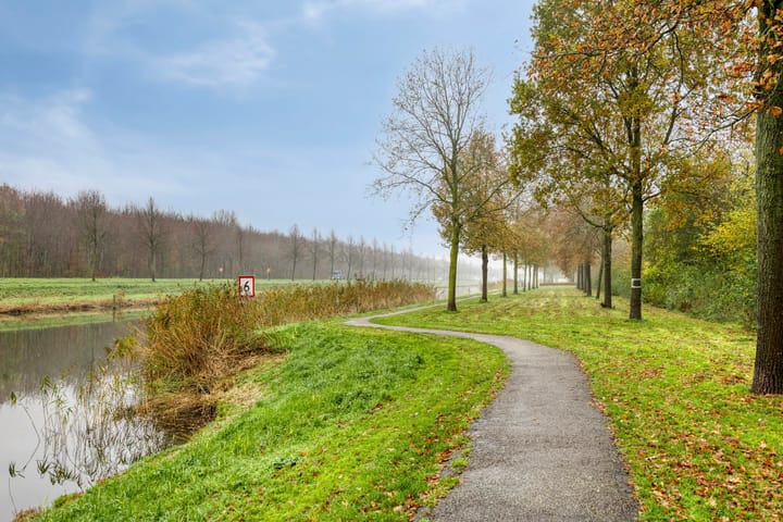 Foto 32 van Zwarte Specht 66