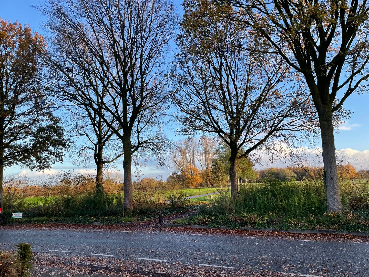 Bekijk foto 3 van Handelsweg 16