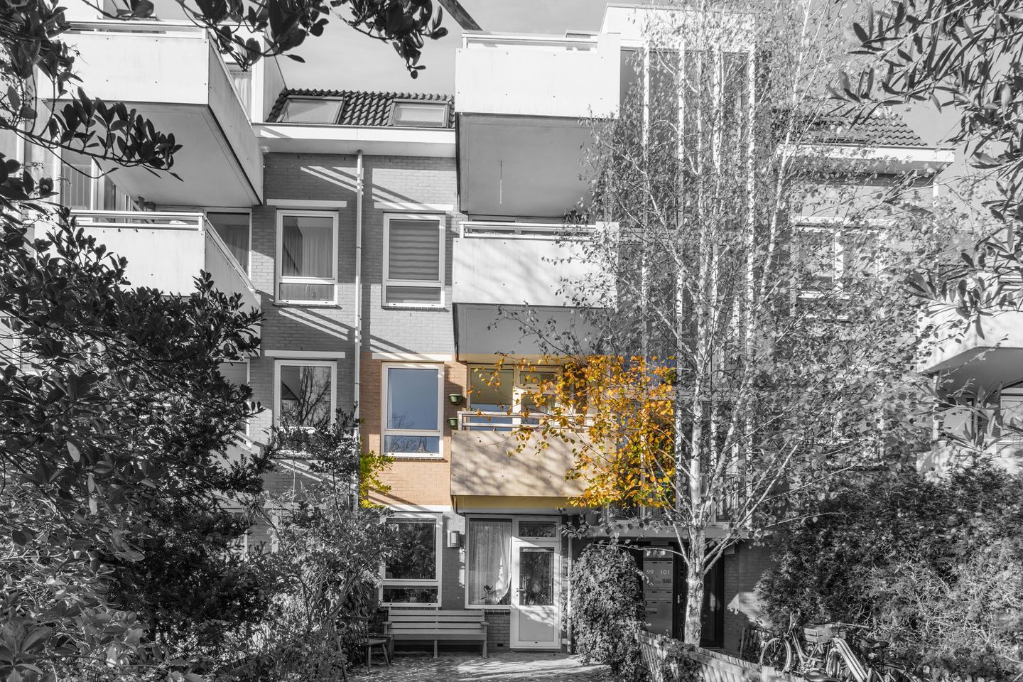 Foto 5 van Meeuwenlaan 99-B