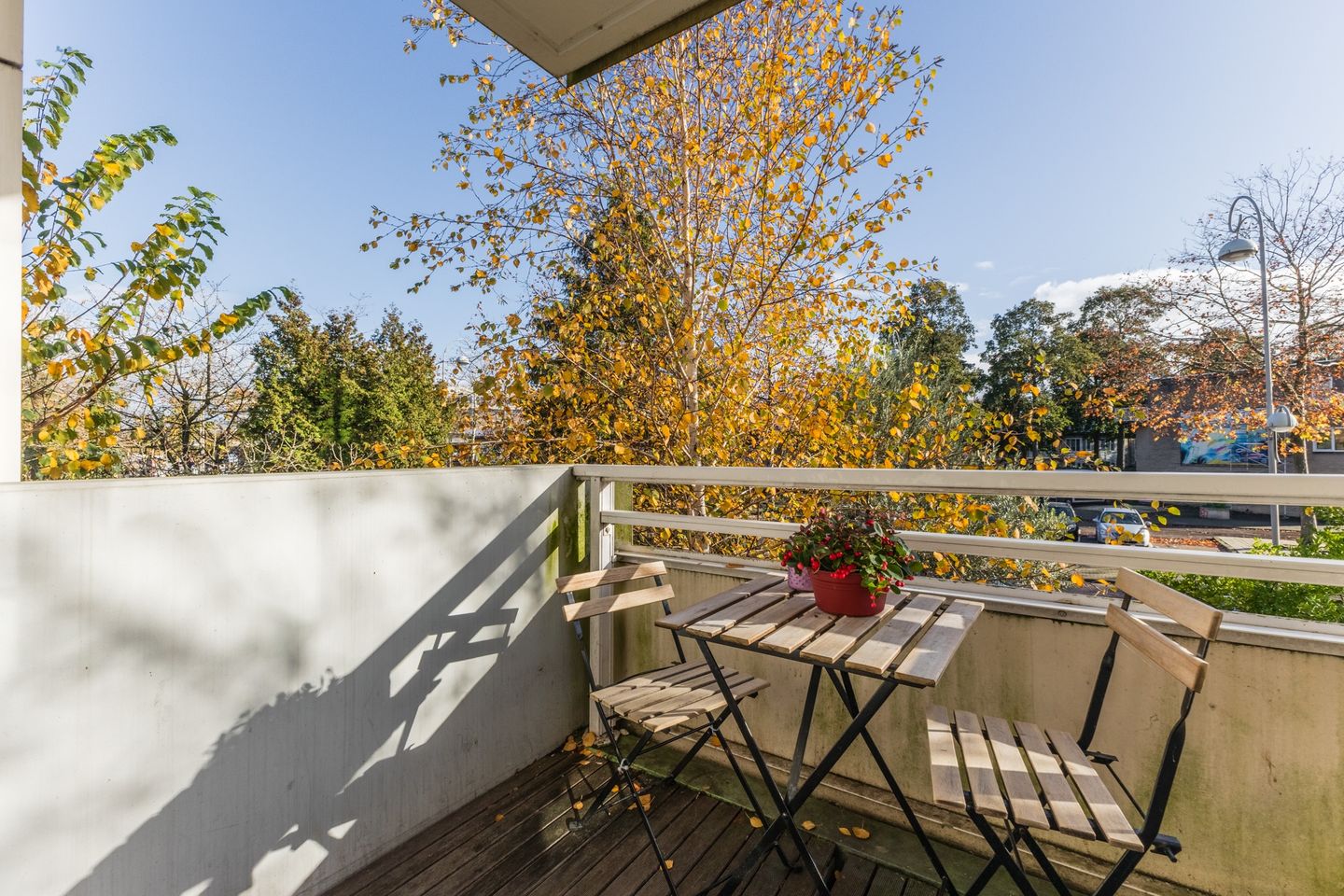 Foto 20 van Meeuwenlaan 99-B