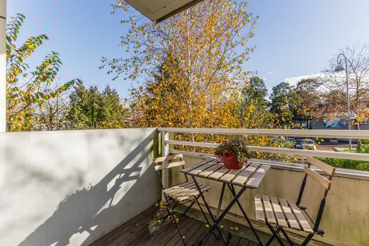 Foto 20 van Meeuwenlaan 99-B