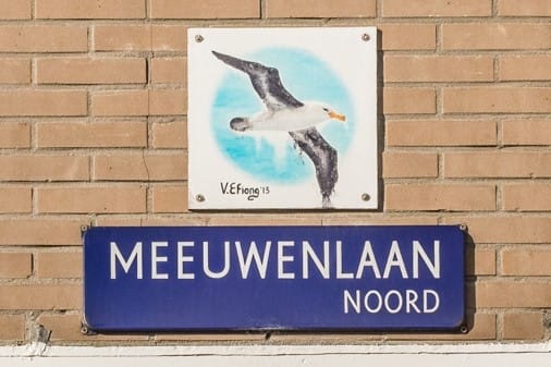 Foto 24 van Meeuwenlaan 99-B