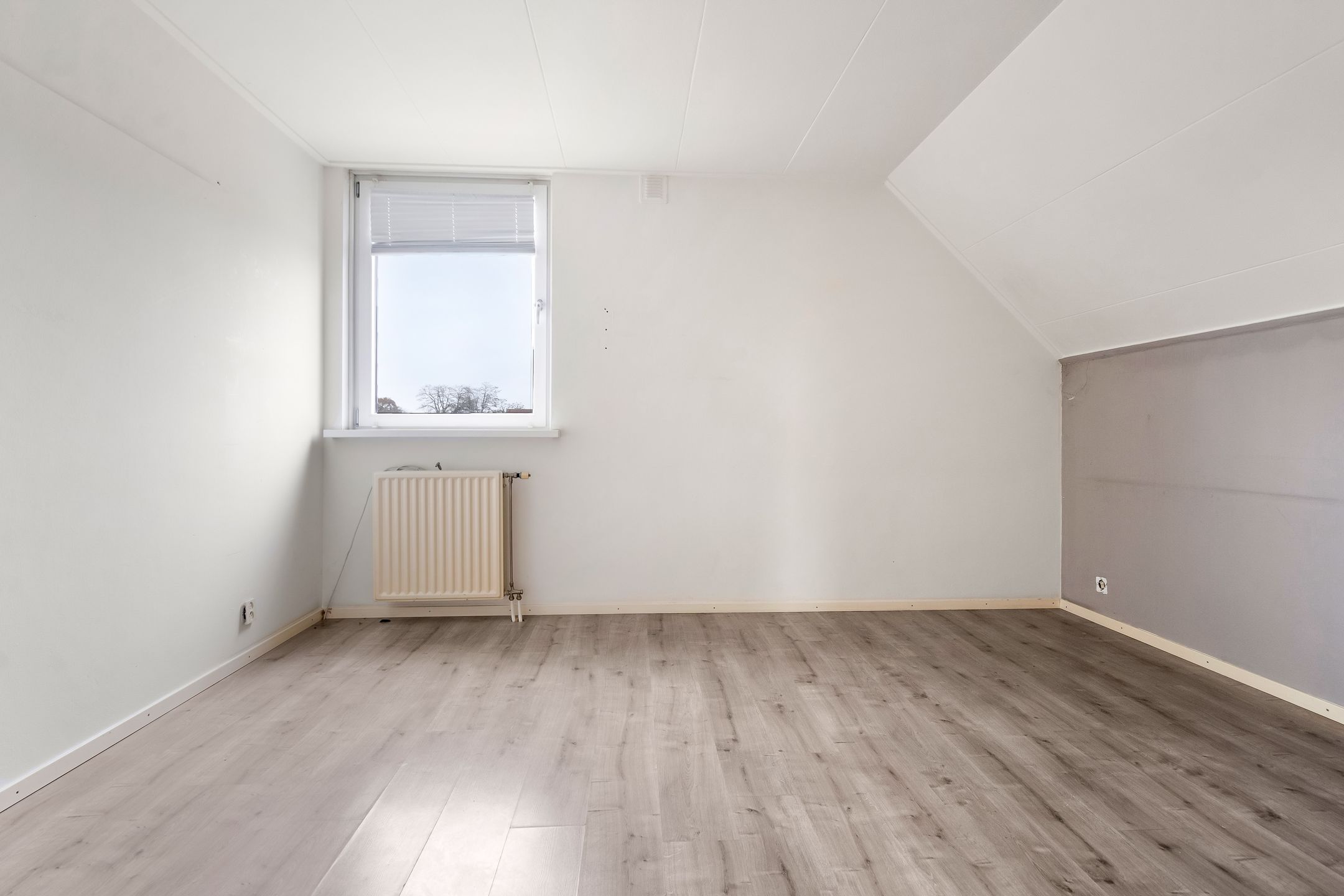 Foto 21 van Mgr. Bosstraat 33