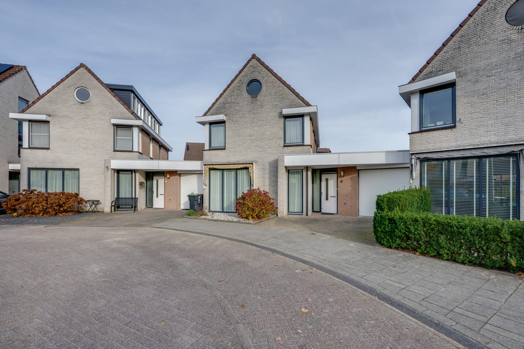 Foto 2 van Vrouwenmantel 6