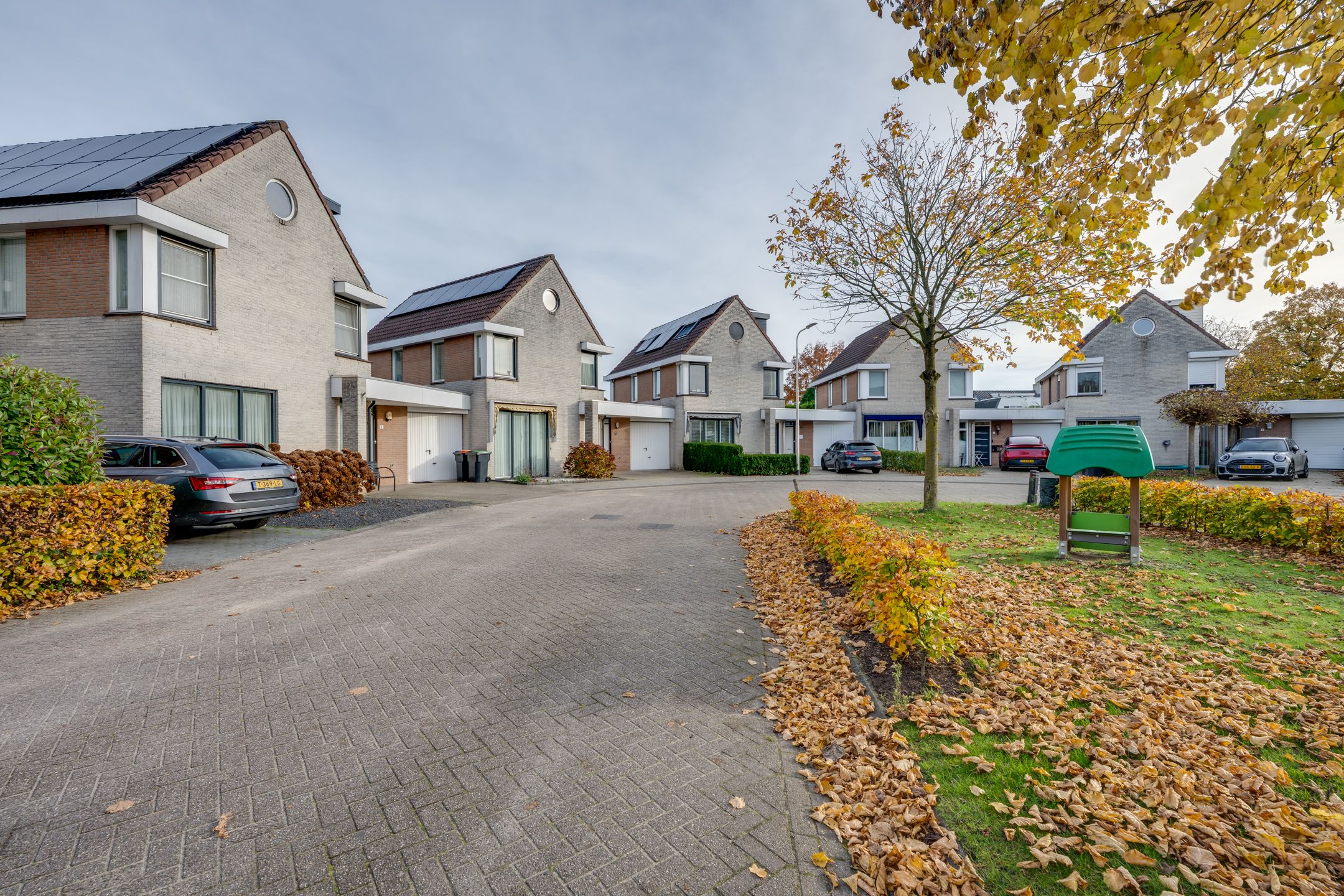 Foto 3 van Vrouwenmantel 6