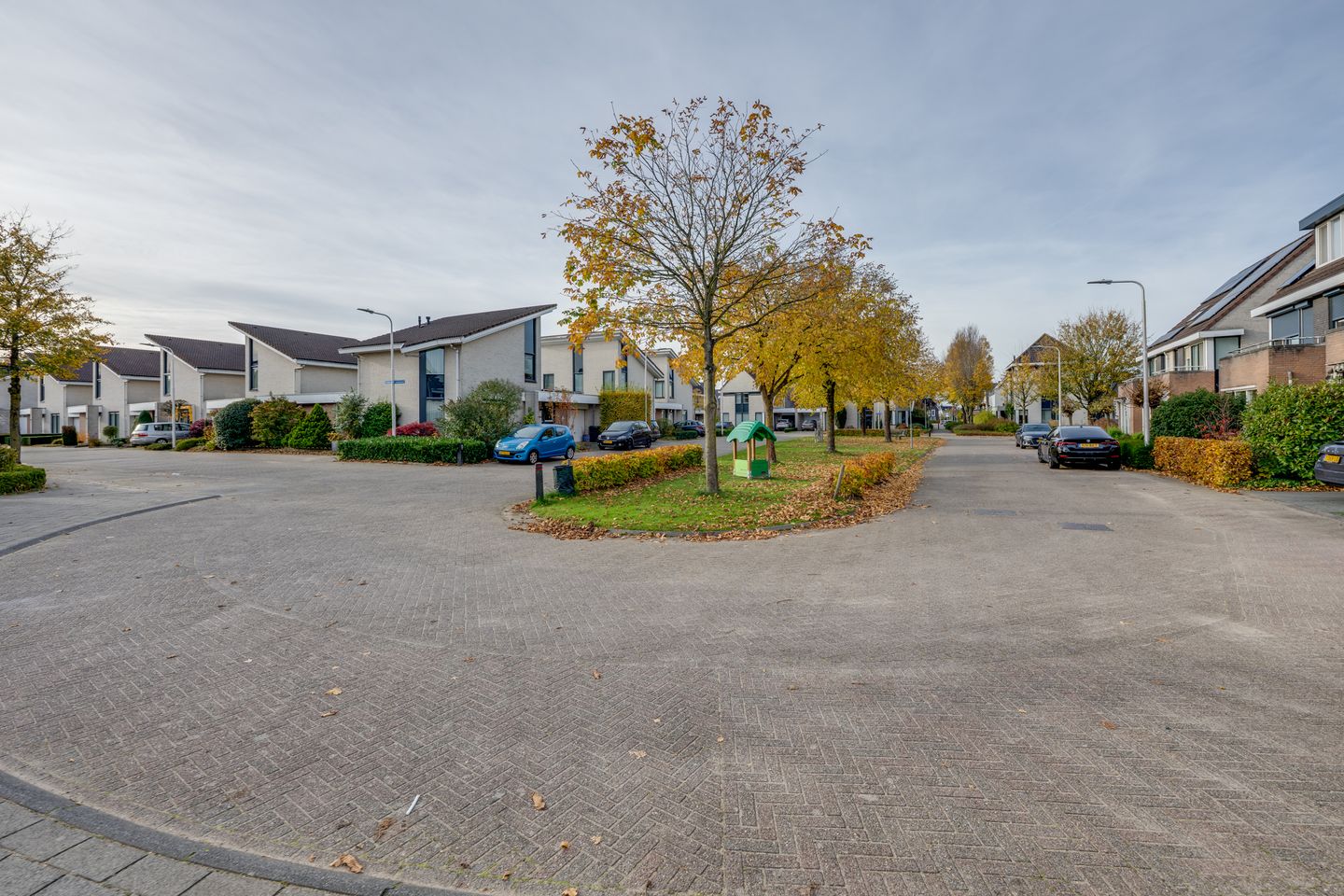 Foto 4 van Vrouwenmantel 6