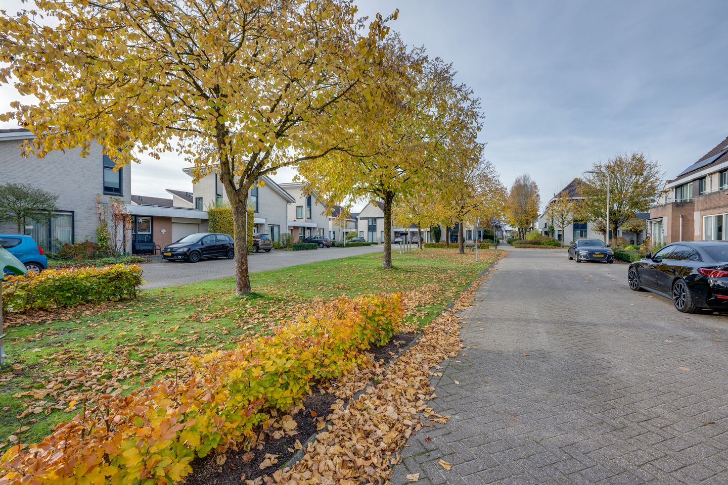 Foto 5 van Vrouwenmantel 6