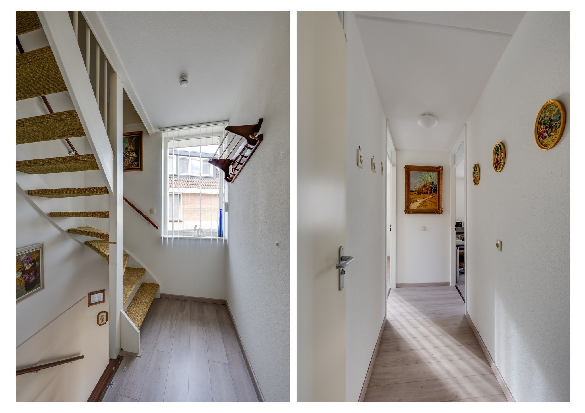 Foto 18 van Vrouwenmantel 6