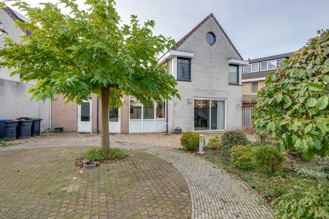 Foto 41 van Vrouwenmantel 6