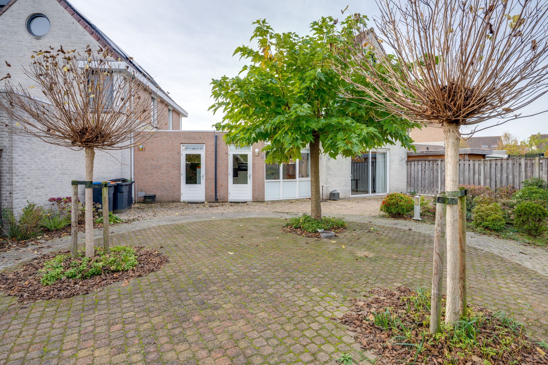 Foto 42 van Vrouwenmantel 6