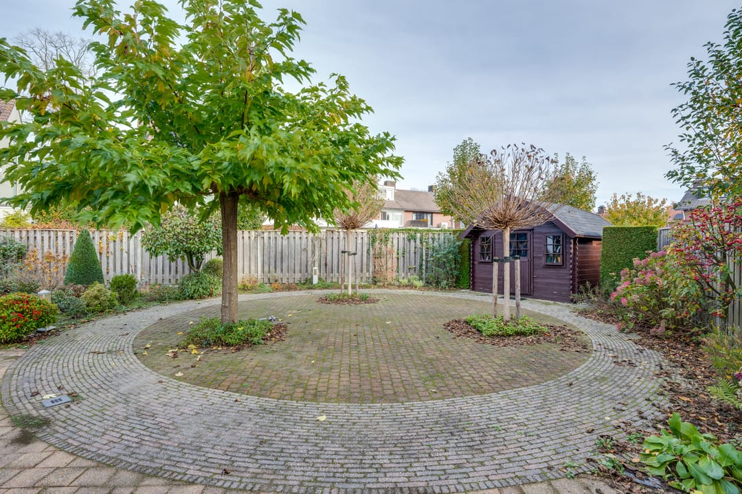 Foto 43 van Vrouwenmantel 6