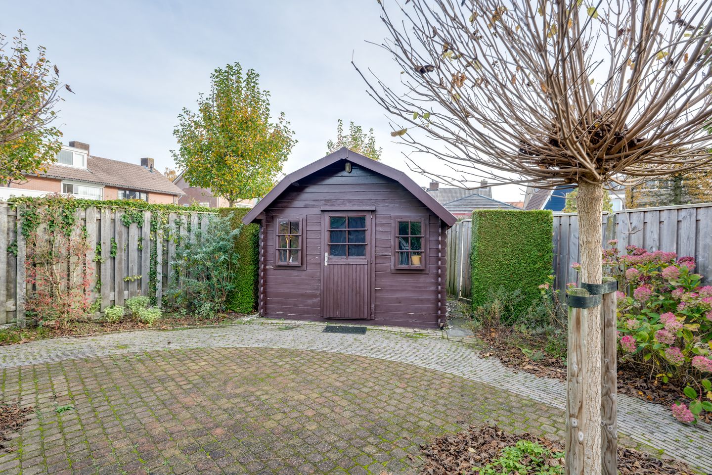 Foto 44 van Vrouwenmantel 6