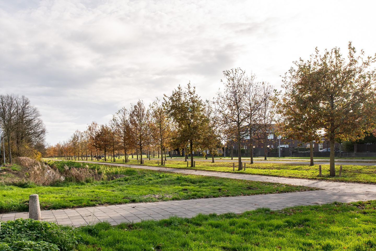 Foto 25 van Populierenlaan 319