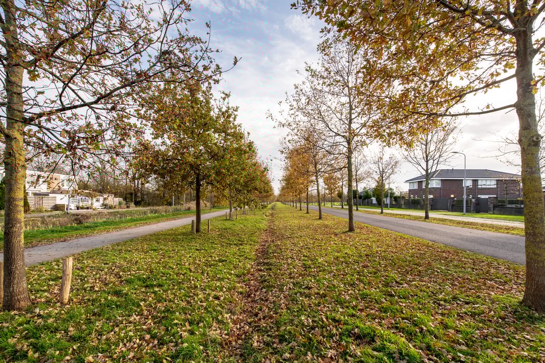 Foto 26 van Populierenlaan 319