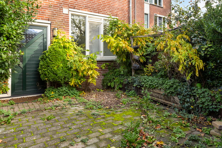 Photo 5 of Nachtegaal 3