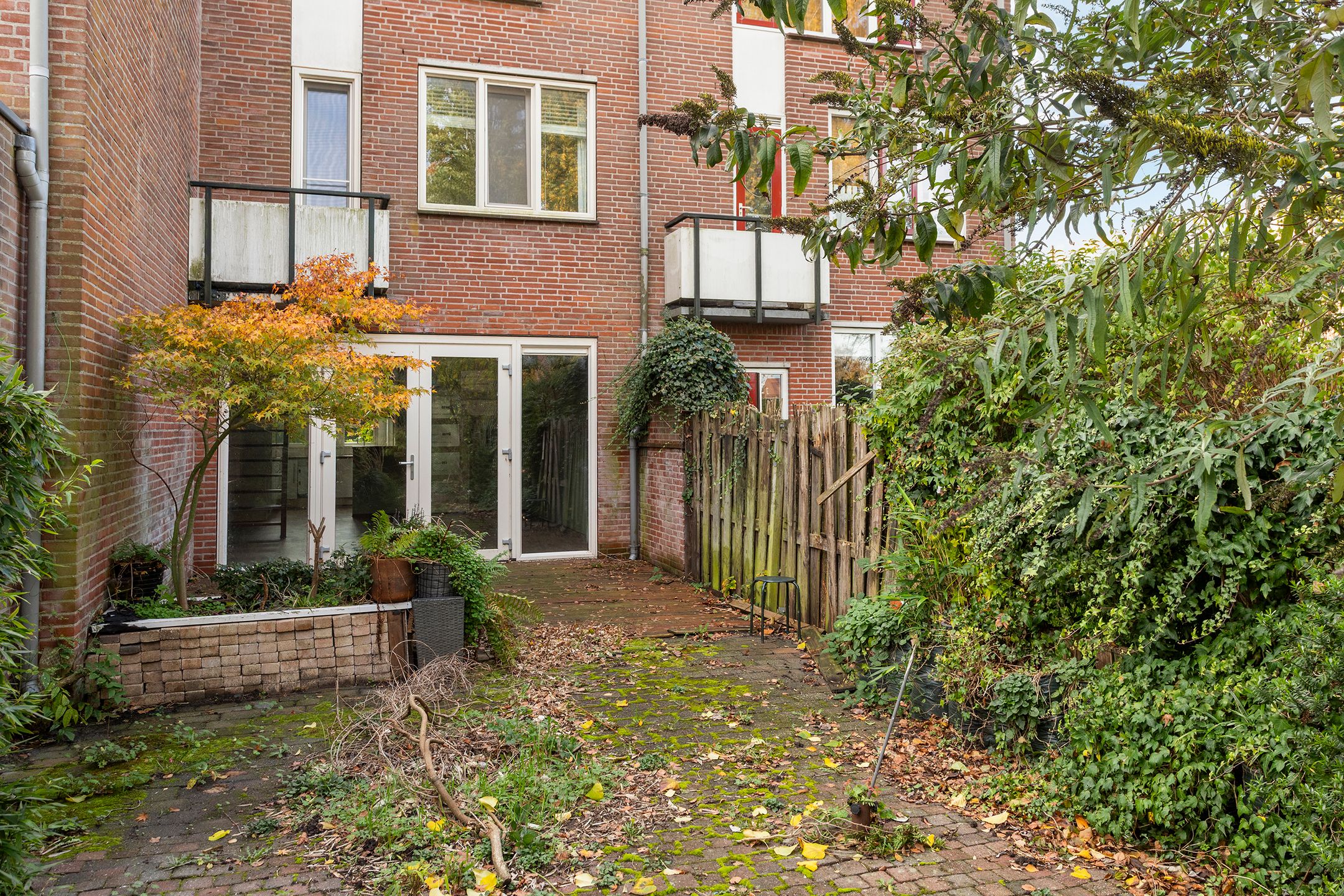 Photo 24 of Nachtegaal 3