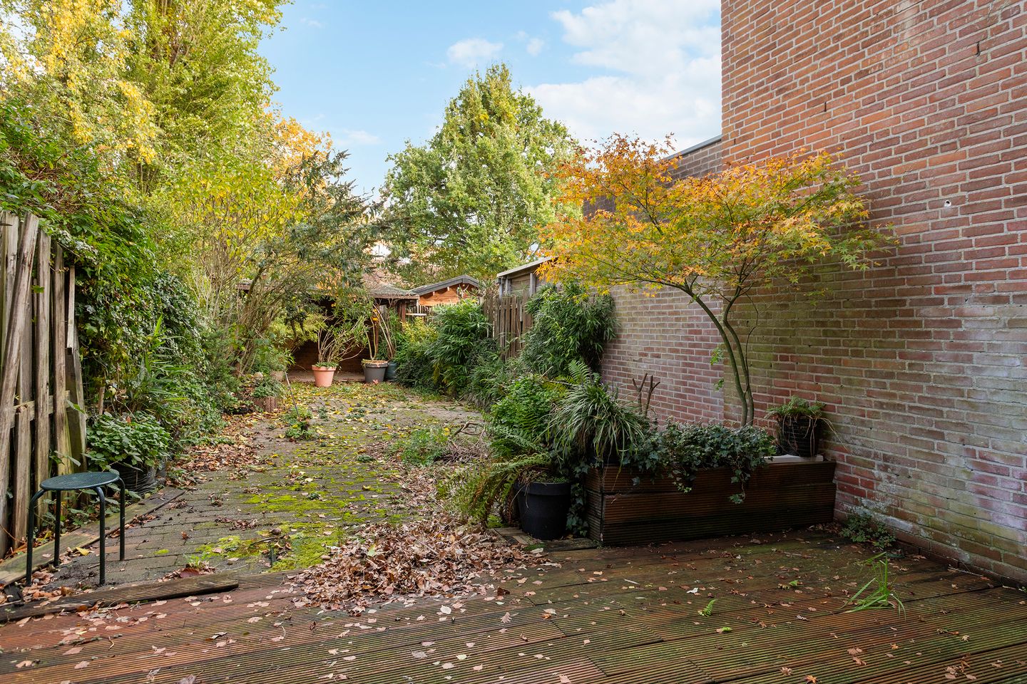 Photo 25 of Nachtegaal 3