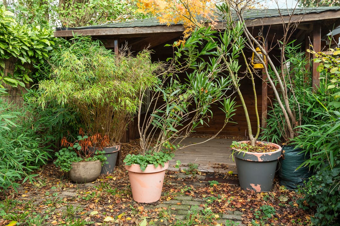 Photo 26 of Nachtegaal 3