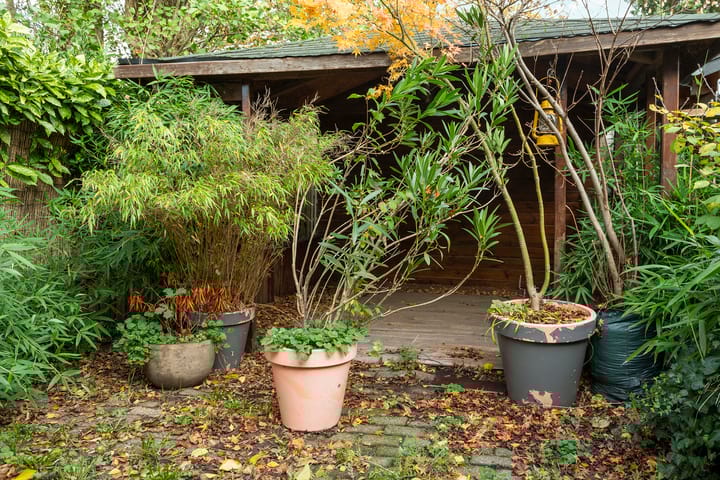 Photo 26 of Nachtegaal 3