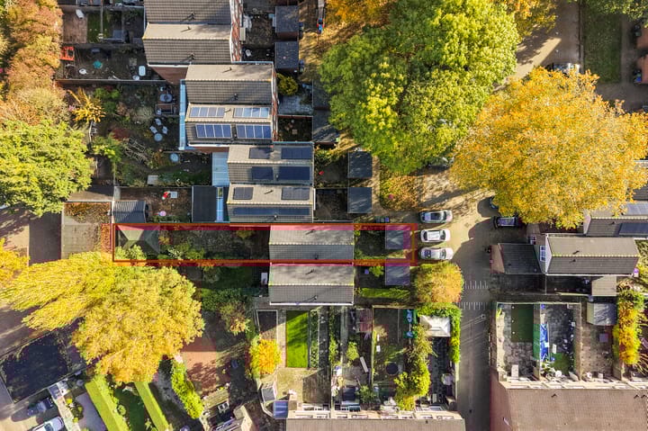 Photo 27 of Nachtegaal 3