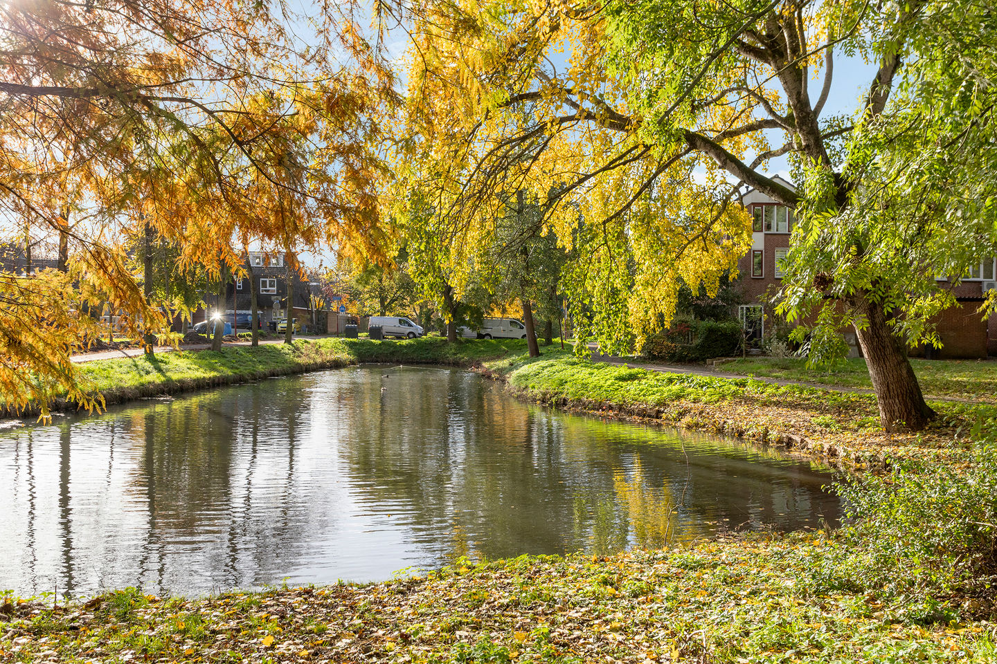 Photo 29 of Nachtegaal 3