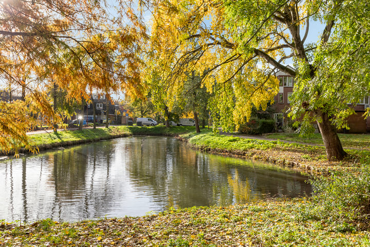 Photo 29 of Nachtegaal 3