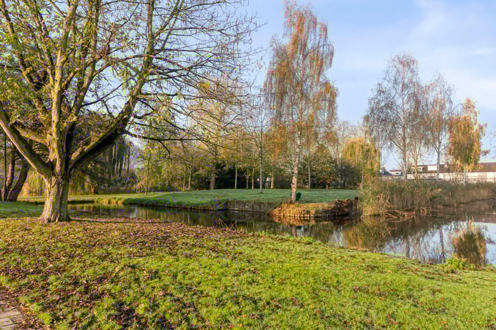 Photo 30 of Middenwetering 246