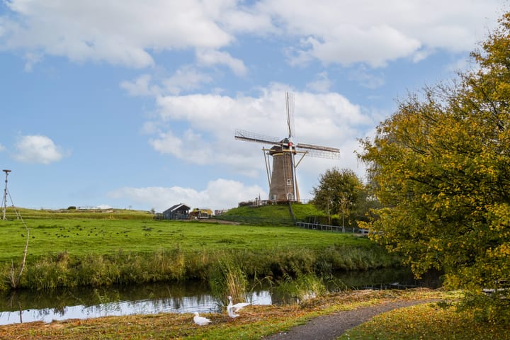 Photo 44 of Wilsonstraat 201