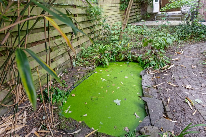 Foto 27 van Dr. de Visserstraat 86-B