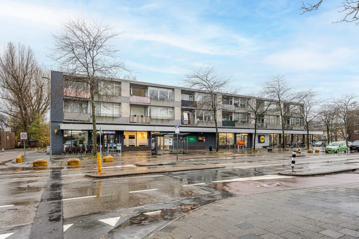 William Harveystraat 28