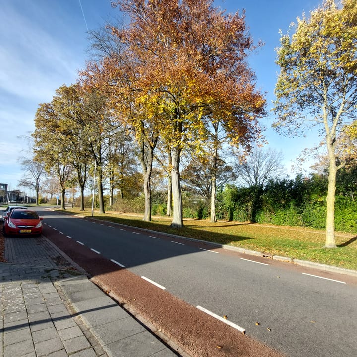 Photo 4 of Ceintuurbaan 53