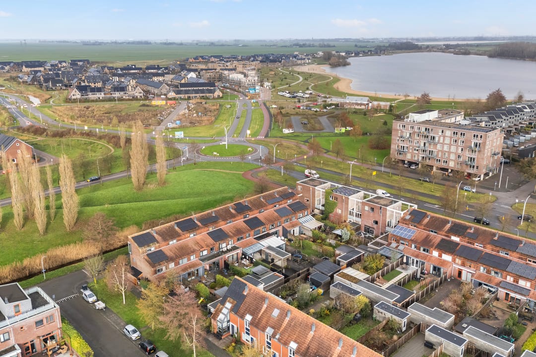 Foto 2 van Sterrenmos 62