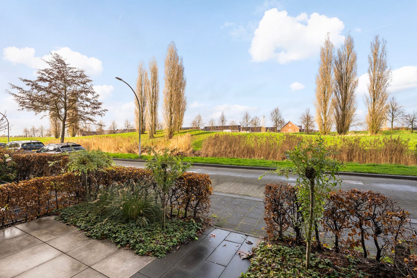 Foto 4 van Sterrenmos 62