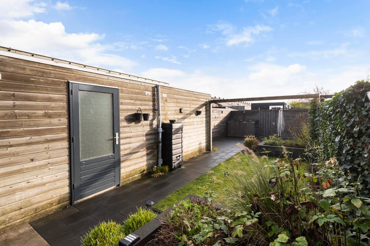 Photo 13 of Sterrenmos 62