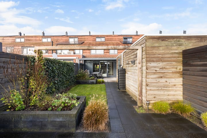 Photo 14 of Sterrenmos 62