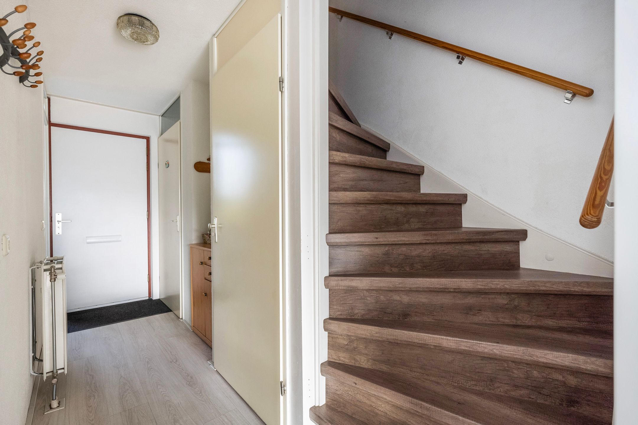 Foto 21 van Sterrenmos 62