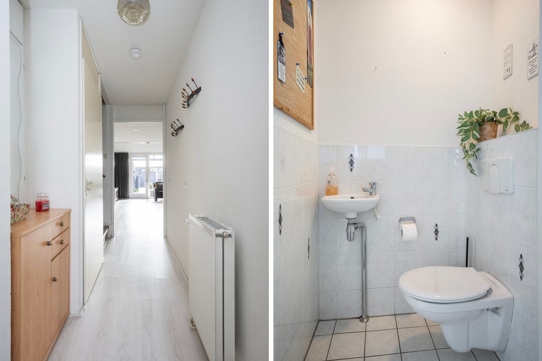 Foto 22 van Sterrenmos 62